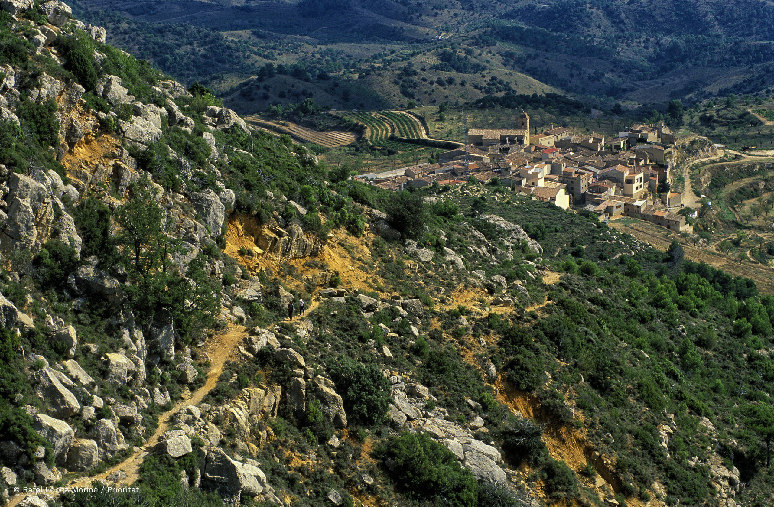 Serra Major del Montsant, camí del Grau de la Grallera La Morera de Montsant